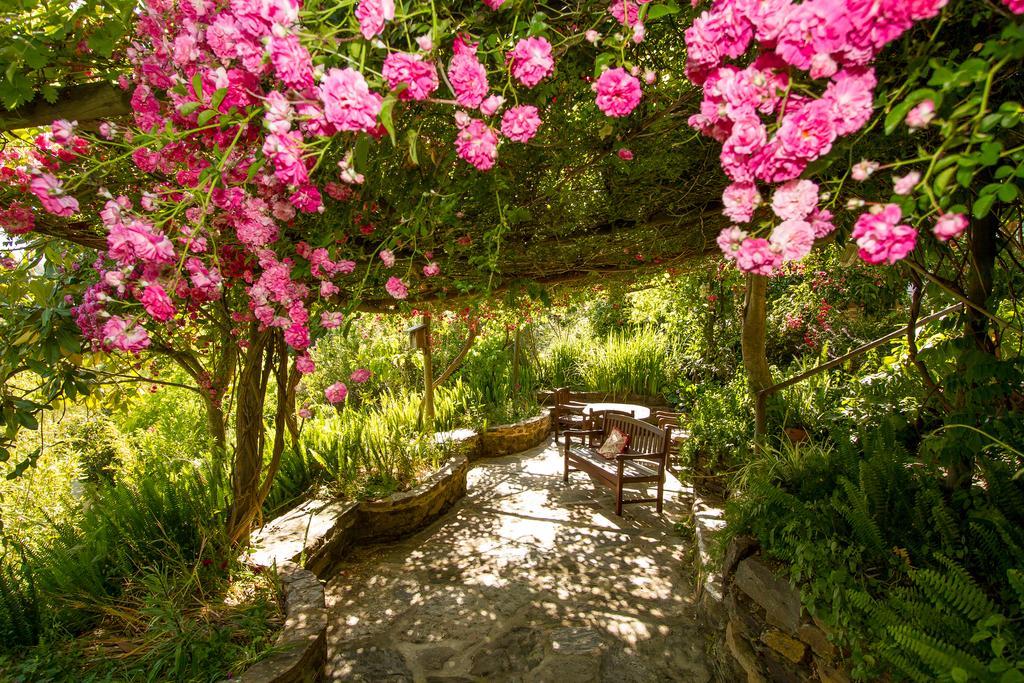 Paradise In Portugal Santa Clara-a-Velha Ngoại thất bức ảnh